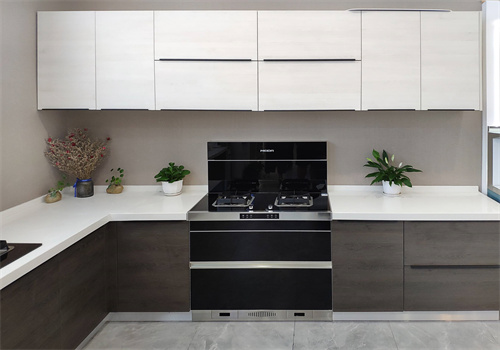 圣馬丁集成灶招商加盟